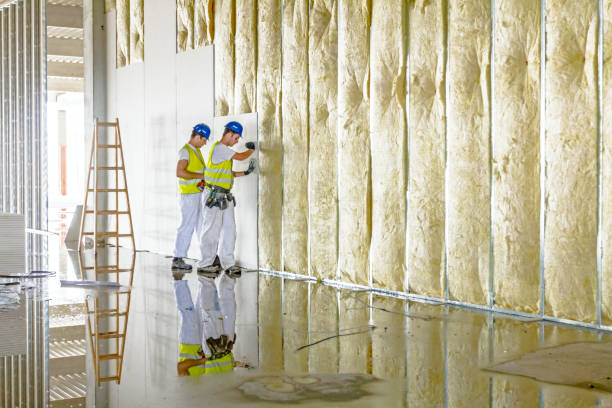 Best Insulation Replacement  in Oxford, OH